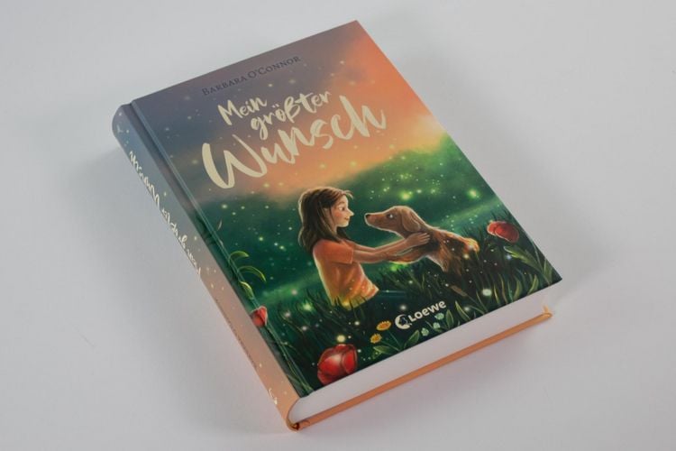 Produktbild: Mein gr&ouml;&szlig;ter Wunsch