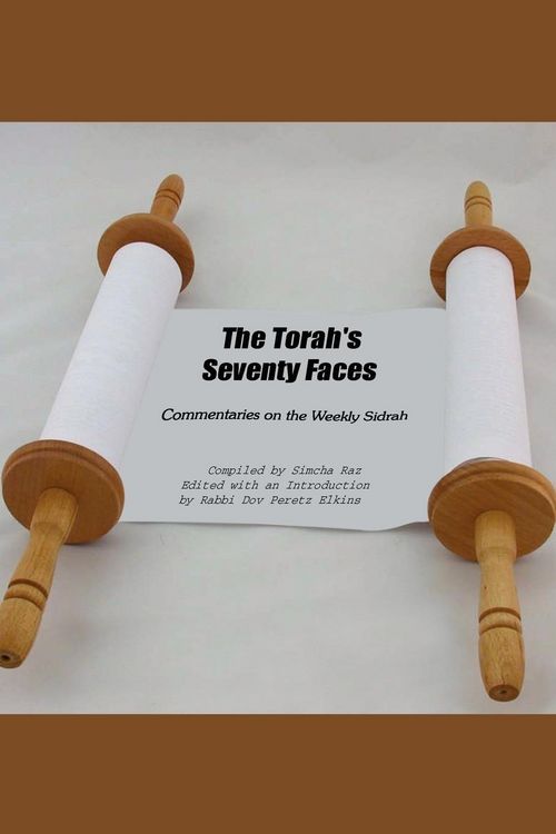 Produktbild: The Torah's Seventy Faces
