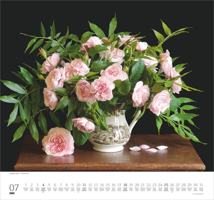 Produktbild: Geliebte Rosen 2027
