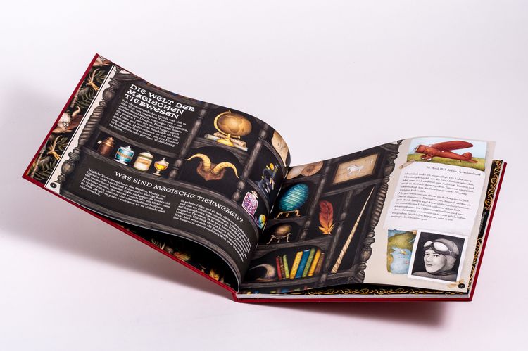 Produktbild: Das gro&szlig;e Handbuch der magischen Tiere