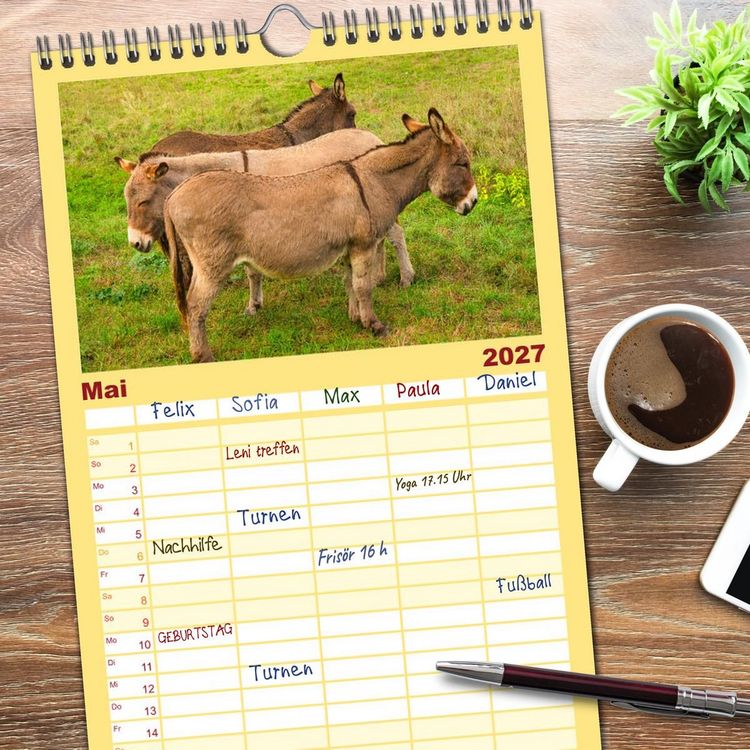 Produktbild: Familienplaner 2027 - Liebenswerte Esel mit 5 Spalten (Wandkalender, 21 x 45 cm) CALVENDO