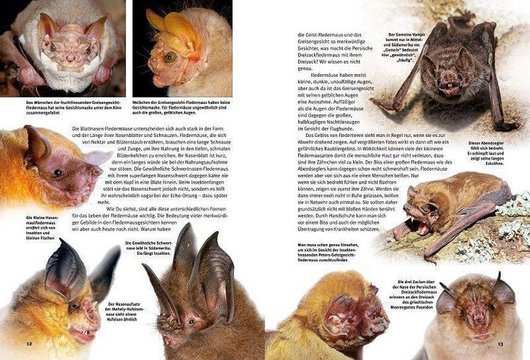 Produktbild: Entdecke die Flederm&auml;use