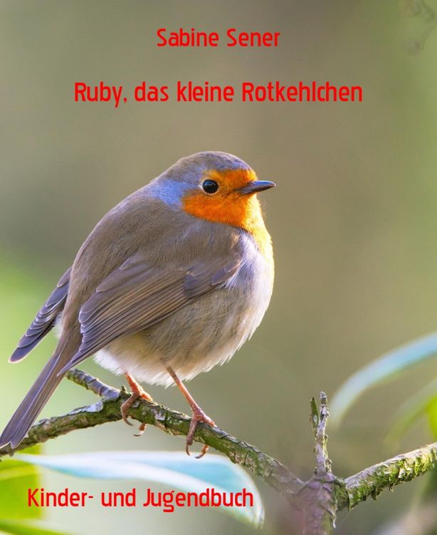Produktbild: Ruby, das kleine Rotkehlchen