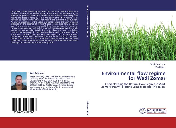 Produktbild: Environmental flow regime for Wadi Zomar
