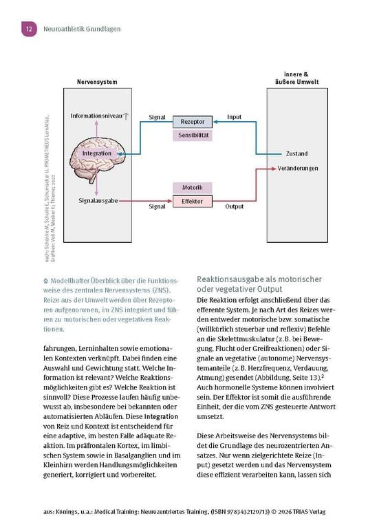Produktbild: Medical Training: Neurozentriertes Training