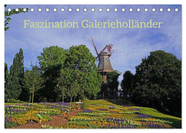 Produktbild: Faszination Galerieholl&auml;nder (Tischkalender 2026 DIN A5 quer), CALVENDO Monatskalender