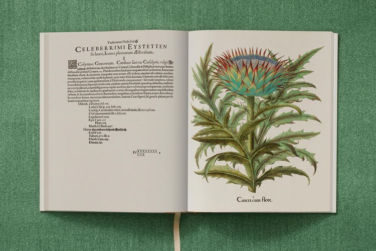 Produktbild: Basilius Besler. The Garden at Eichst&auml;tt
