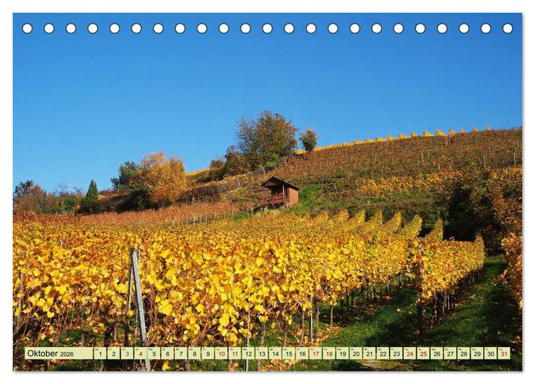 Produktbild: Weinregion Bergstra&szlig;e Burgen, Wein und Mandelbl&uuml;te (Tischkalender 2026 DIN A5 quer), CALVENDO Monatskalender