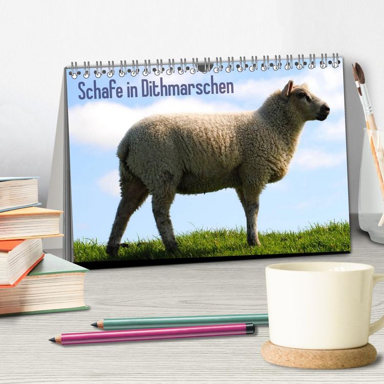 Produktbild: Schafe in Dithmarschen (Tischkalender 2026 DIN A5 quer), CALVENDO Monatskalender