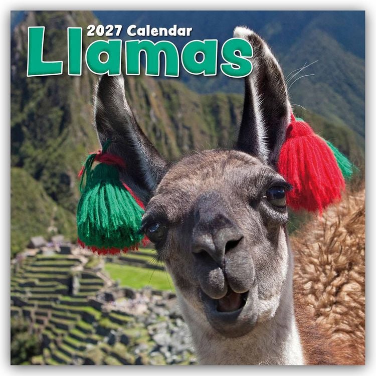 Produktbild: Llamas &ndash; Lamas 2027 &ndash; 16-Monatskalender