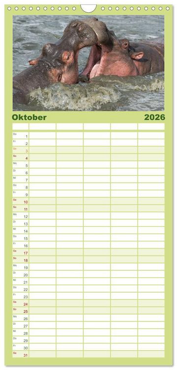 Produktbild: Familienplaner 2026 - Emotionale Momente: Afrika Wildlife. Part 3. mit 5 Spalten (Wandkalender, 21 x 45 cm) CALVENDO