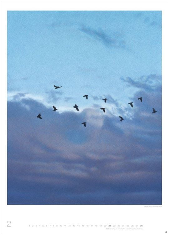 Produktbild: Quint Buchholz: Augenblicke Kalender 2027