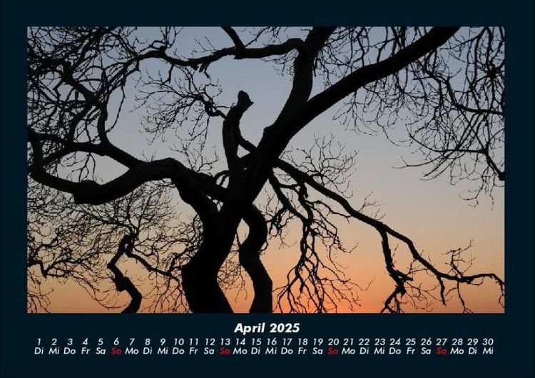 Produktbild: Landschaftskalender 2025 Fotokalender DIN A4