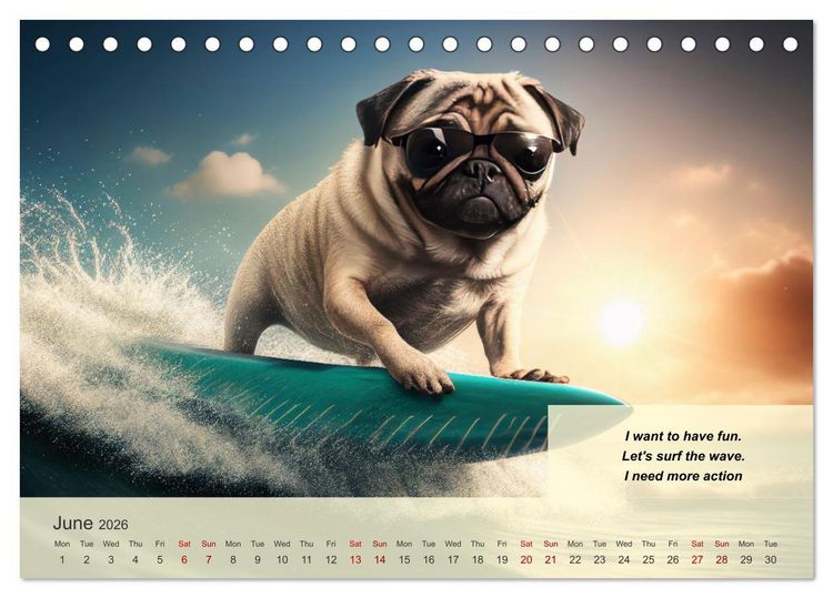 Produktbild: Great fun for pug lovers (Desk Calendar 2026 DIN A5 landscape), CALVENDO 12 Month DeskCalendar
