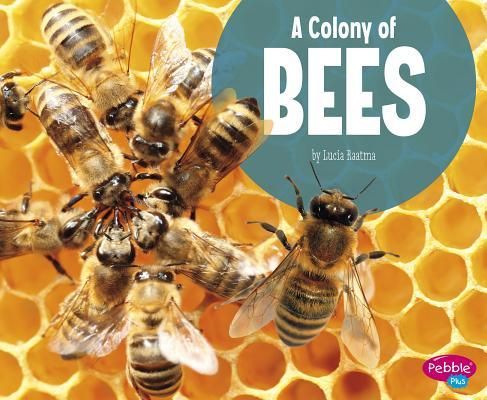 Produktbild: A Colony of Bees