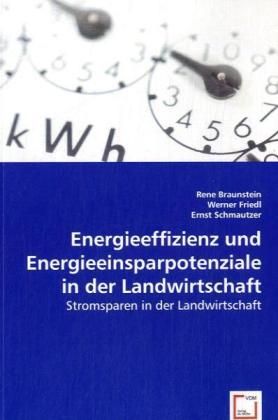 Produktbild: Braunstein, R: Energieeffizienz und Energieeinsparpotenziale