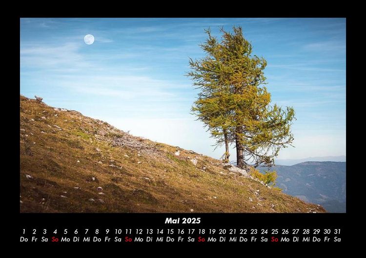 Produktbild: B&auml;ume 2025 Fotokalender DIN A3