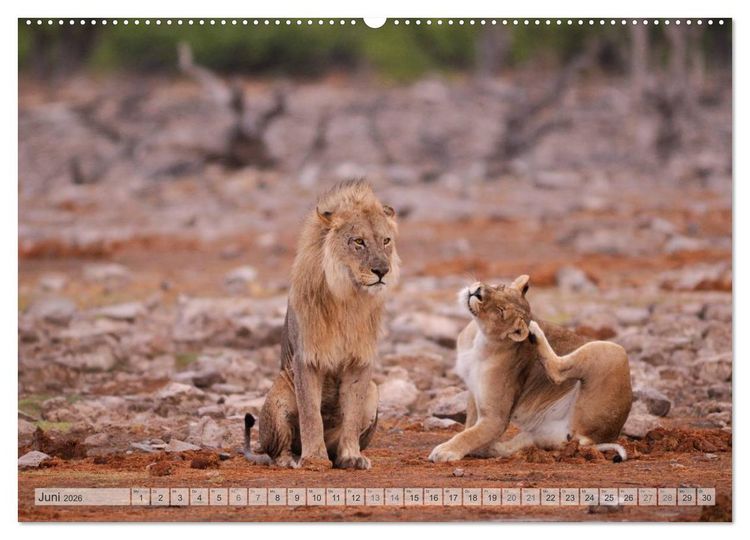 Produktbild: NAMIBIA Christian Heeb (Wandkalender 2026 DIN A2 quer), CALVENDO Monatskalender