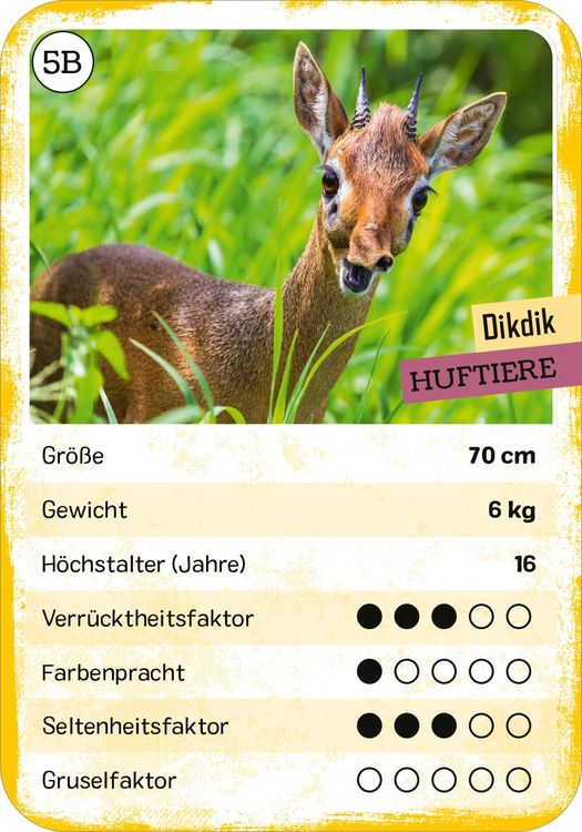 Produktbild: Das verr&uuml;ckte Quartett