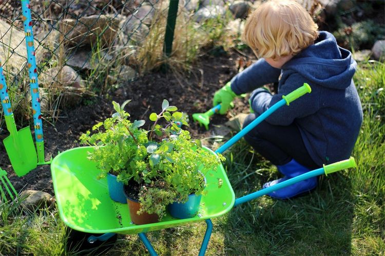 Produktbild: small foot 12014 - Kinder Gartenset mit Schubkarre, gro&szlig;