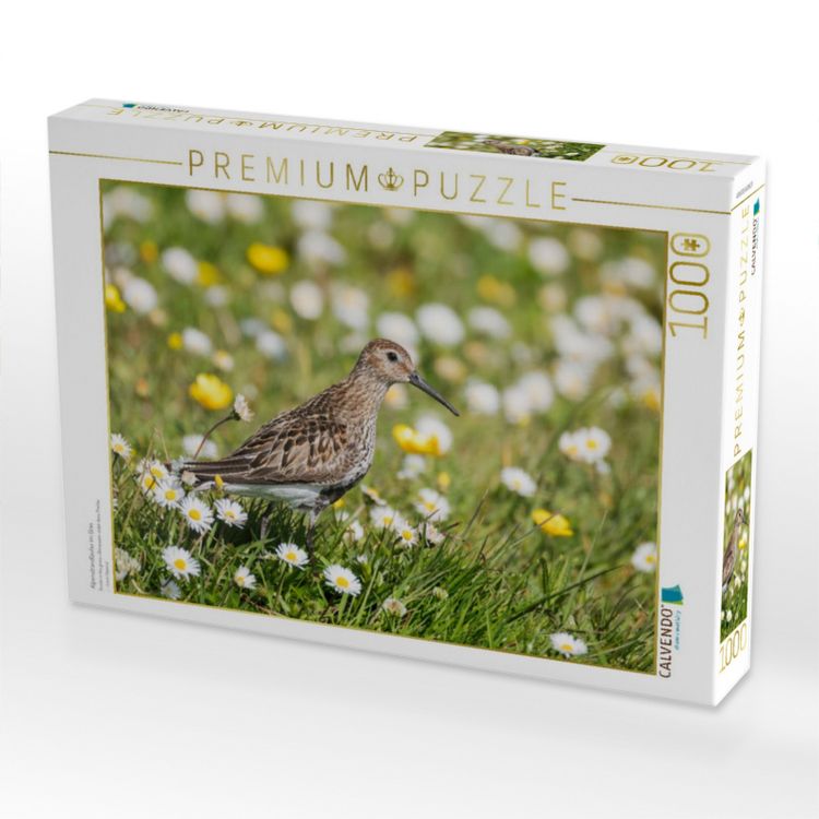 Produktbild: CALVENDO Puzzle Alpenstrandl&auml;ufer im Gras | 1000 Teile Lege-Gr&ouml;&szlig;e 64x48cm Foto-Puzzle f&uuml;r gl&uuml;ckliche Stunden