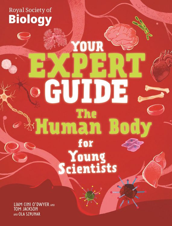 Produktbild: The Human Body for Young Scientists