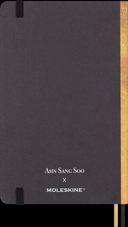 Produktbild: Moleskine Das Jahr des Drachen Notizbuch (Ahn Soo Sang), Large/A5, Liniert, Fester Einband