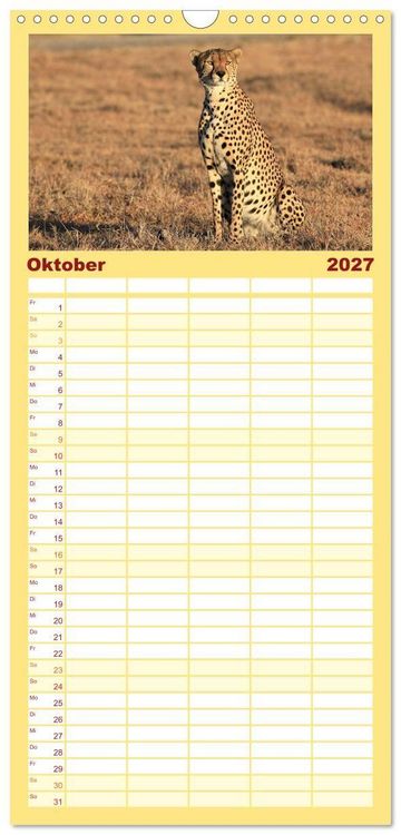 Produktbild: Familienplaner 2027 - Geparden - Begegnungen in Afrika mit 5 Spalten (Wandkalender, 21 x 45 cm) CALVENDO
