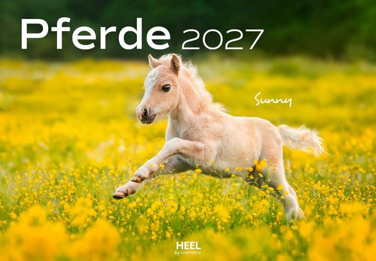 Produktbild: Pferde Kalender 2027 Wandkalender