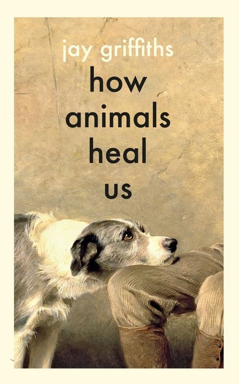 Produktbild: How Animals Heal Us