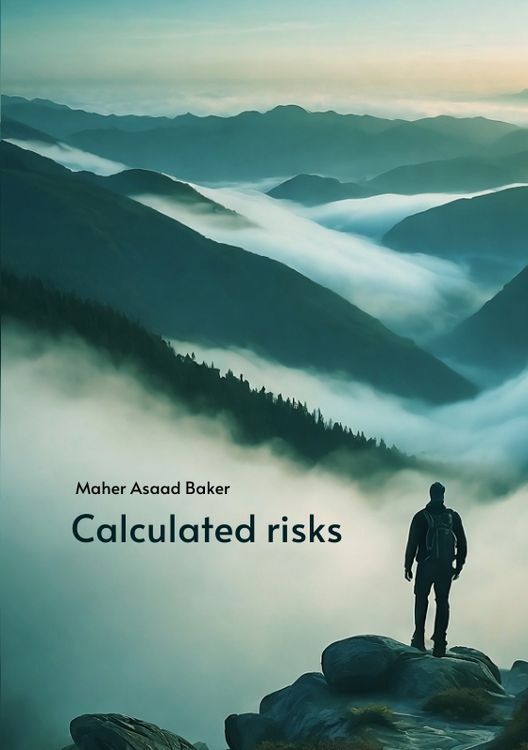 Produktbild: Calculated risks