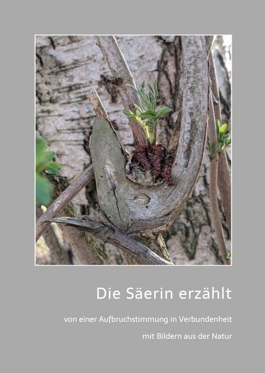 Produktbild: Die S&auml;erin erz&auml;hlt
