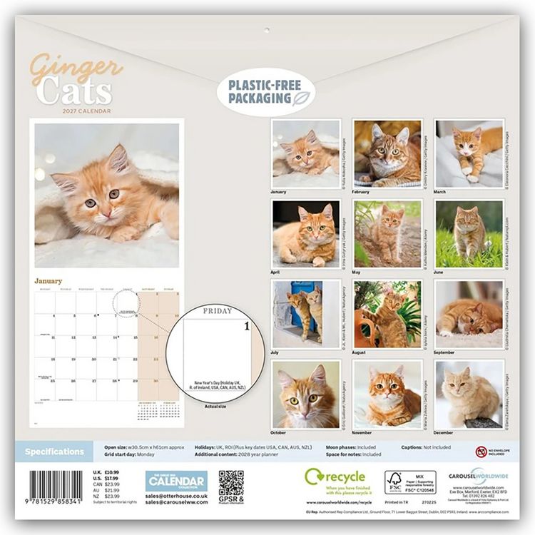 Produktbild: Ginger Cats &ndash; Rothaarige Katzen 2027 &ndash; Wand-Kalender