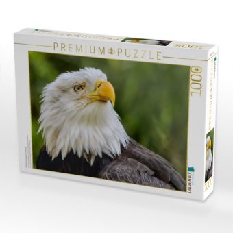 Produktbild: CALVENDO Puzzle Wei&szlig;kopfseeadler im Portr&auml;t | 1000 Teile Lege-Gr&ouml;&szlig;e 64x48cm Foto-Puzzle f&uuml;r gl&uuml;ckliche Stunden