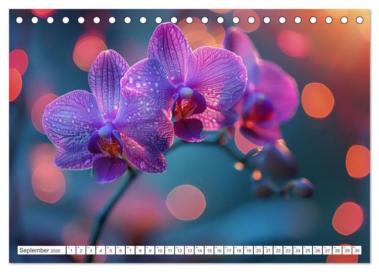Produktbild: Orchideen - farbenfroh durchs Jahr (Tischkalender 2026 DIN A5 quer), CALVENDO Monatskalender