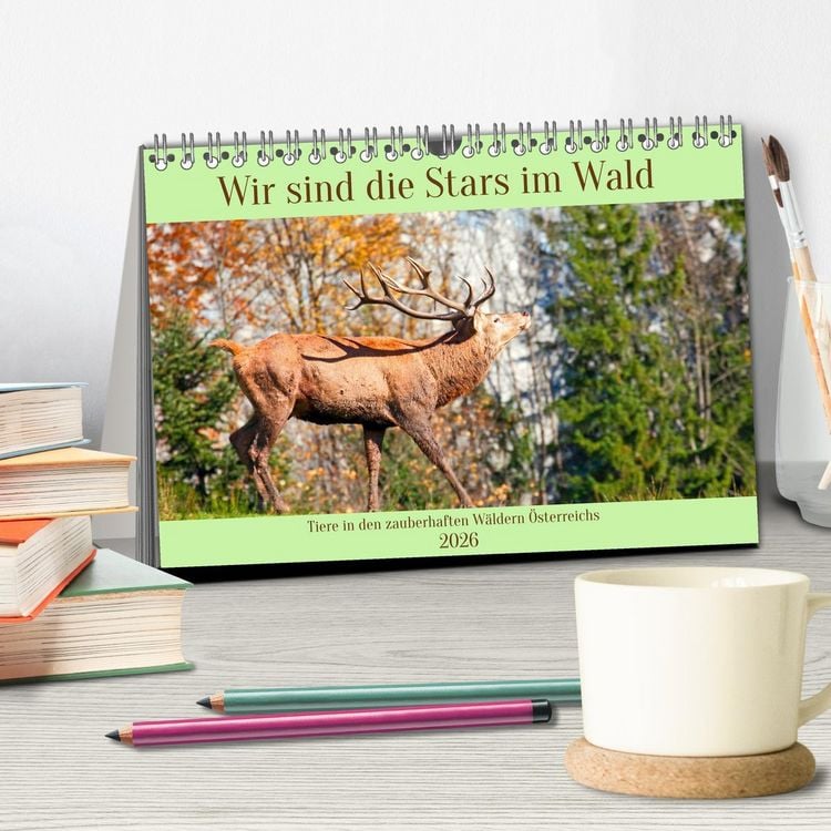 Produktbild: Wir sind die Stars im Wald (Tischkalender 2026 DIN A5 quer), CALVENDO Monatskalender