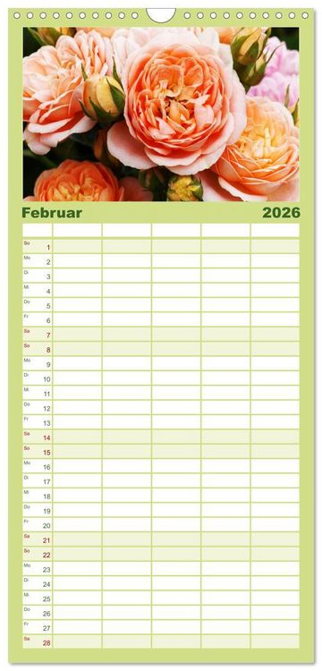 Produktbild: Familienplaner 2026 - Rosen Reigen im Garten mit 5 Spalten (Wandkalender, 21 x 45 cm) CALVENDO