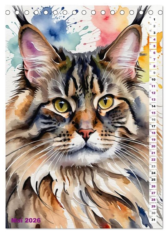 Produktbild: KATZENKALENDER - Aquarell Katzenportraits f&uuml;r Katzenliebhaber (Tischkalender 2026 DIN A5 hoch), CALVENDO Monatskalender