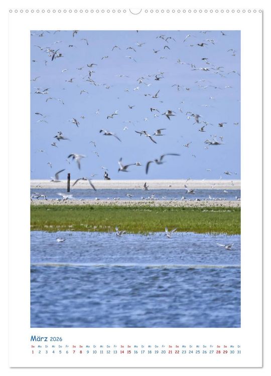 Produktbild: Texel - Momente die verzaubern (Wandkalender 2026 DIN A2 hoch), CALVENDO Monatskalender