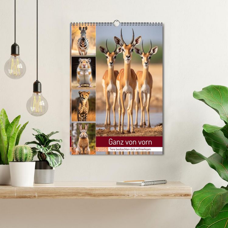 Produktbild: Ganz von vorn (Wandkalender 2026 DIN A3 hoch), CALVENDO Monatskalender