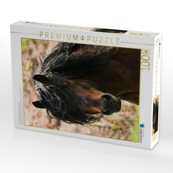 Produktbild: CALVENDO Puzzle Schwarzw&auml;lder Kaltbluthengst im Portrait | 1000 Teile Lege-Gr&ouml;&szlig;e 64x48cm Foto-Puzzle f&uuml;r gl&uuml;ckliche Stunden
