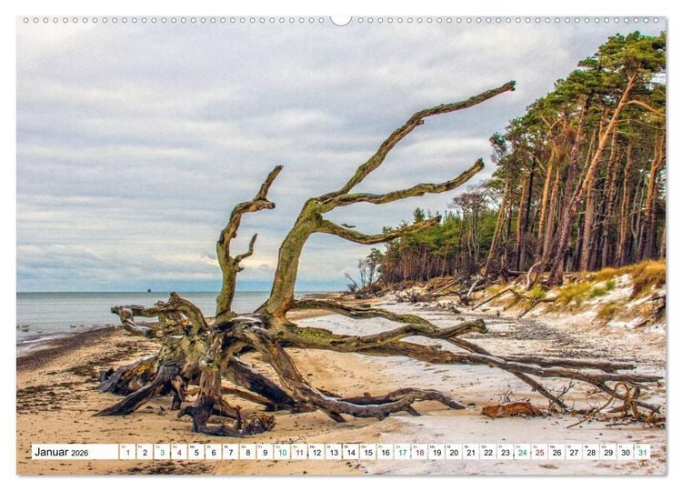 Produktbild: Dar&szlig;er Weststrand - Fischland Dar&szlig; Zingst (hochwertiger Premium Wandkalender 2026 DIN A2 quer), Kunstdruck in Hochglanz