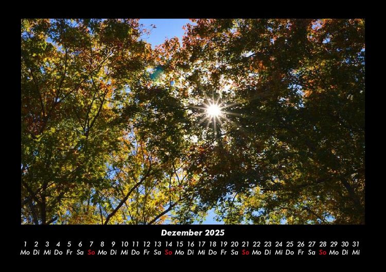 Produktbild: Landschaftskalender 2025 Fotokalender DIN A3