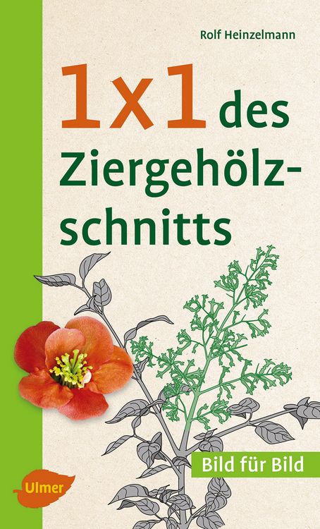 Produktbild: 1 x 1 des Ziergeh&ouml;lzschnitts
