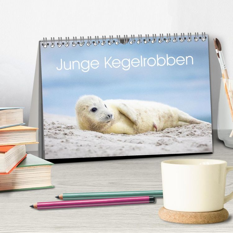 Produktbild: Junge Kegelrobben (Tischkalender 2026 DIN A5 quer), CALVENDO Monatskalender