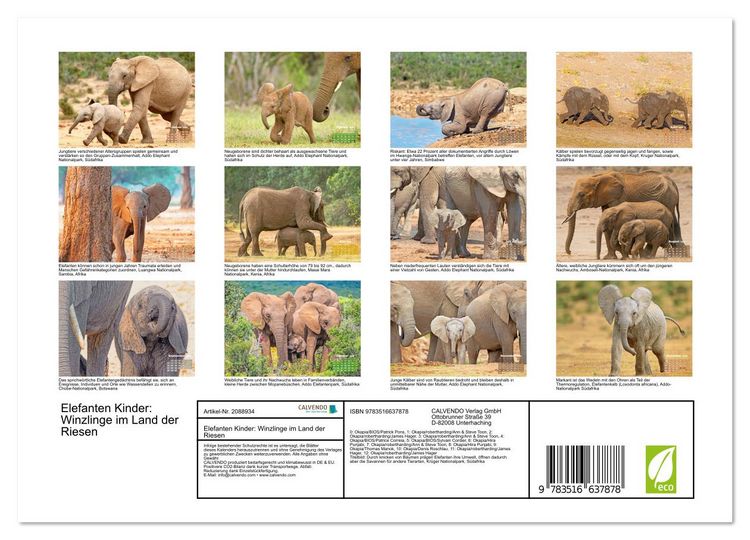 Produktbild: Elefanten Kinder: Winzlinge im Land der Riesen (Wandkalender 2026 DIN A4 quer), CALVENDO Monatskalender