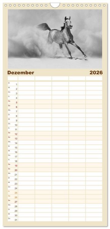 Produktbild: Familienplaner 2026 - Arabische Pferde mit 5 Spalten (Wandkalender, 21 x 45 cm) CALVENDO