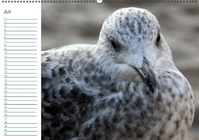 Produktbild: Sylt - Best&auml;ndige Sehnsucht (Wandkalender immerw&auml;hrend DIN A2 quer)