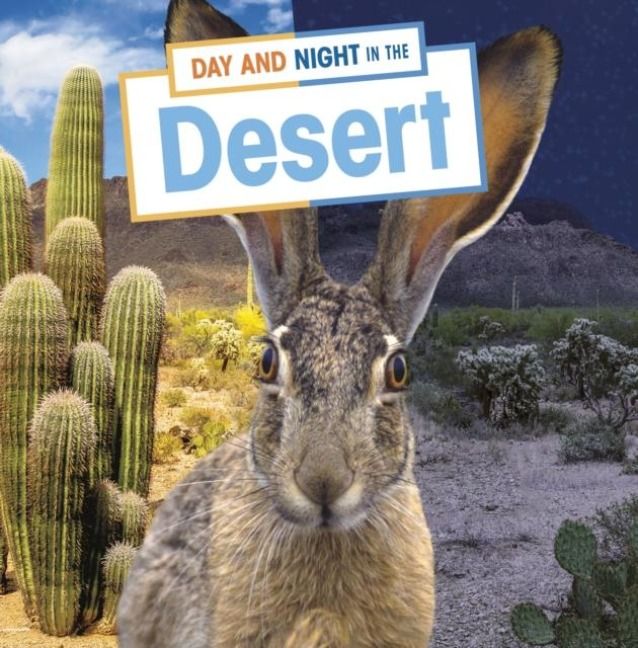 Produktbild: Day and Night in the Desert