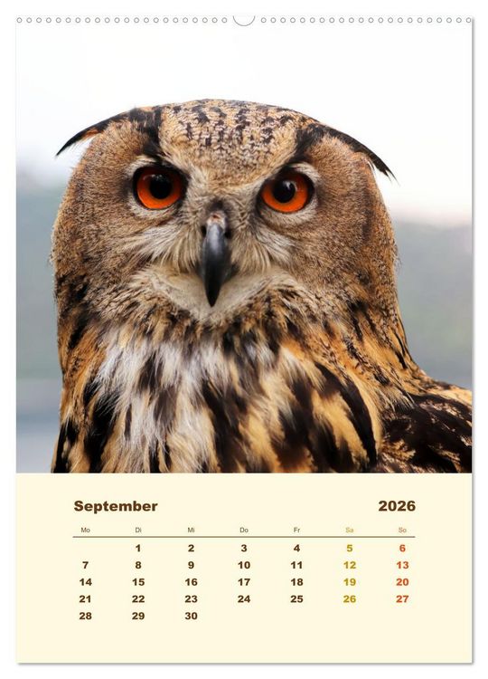 Produktbild: Uhu, die Faszination bernsteinfarbener Augen (Wandkalender 2026 DIN A2 hoch), CALVENDO Monatskalender